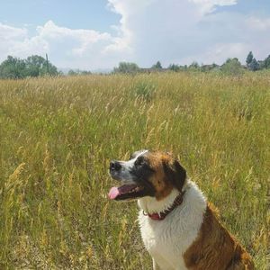 Meet your Posher, Adeline